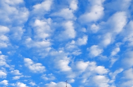 Vista Interna Campanario